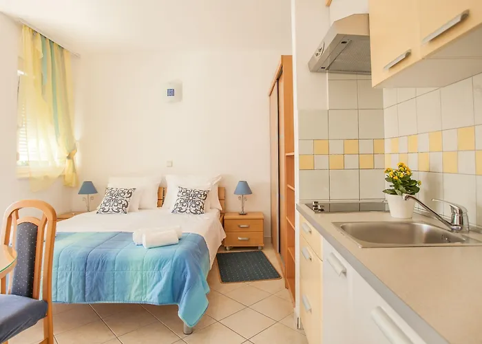 Barbara 트로기르